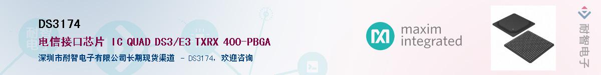 DS3174������-�������