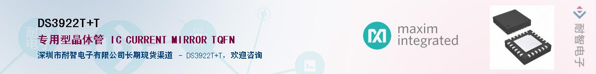 DS3922T+T������-�������