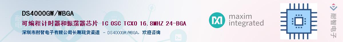 DS4000GW/WBGA������-�������