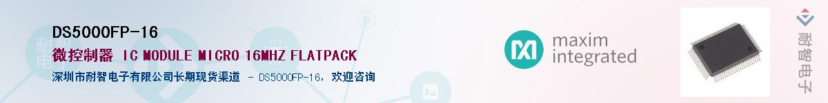 DS5000FP-16����(y��ng)��-�������