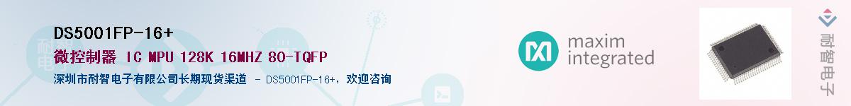 DS5001FP-16+������-�������