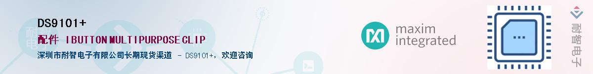 DS9101+������-�������