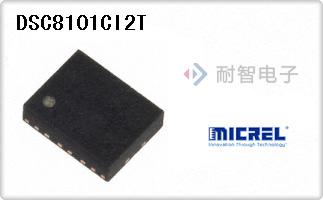 DSC8101CI2T