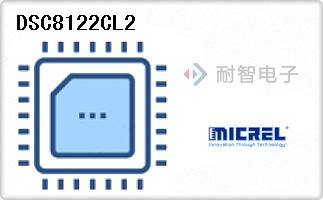 DSC8122CL2