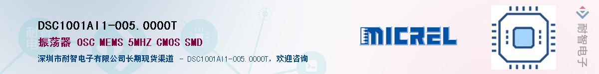 DSC1001AI1-005.0000T������-�������