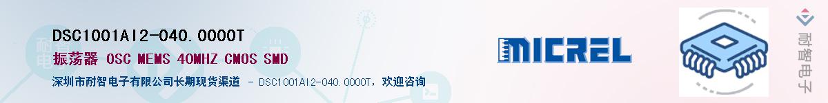 DSC1001AI2-040.0000T������-�������