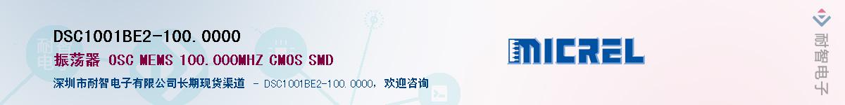 DSC1001BE2-100.0000������-�������