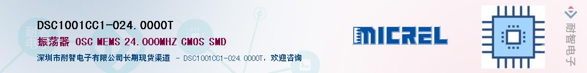 DSC1001CC1-024.0000T����(y��ng)��-�������