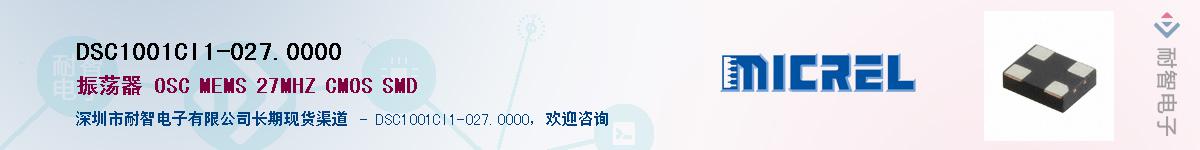 DSC1001CI1-027.0000����(y��ng)��-�������