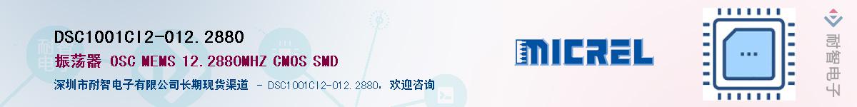 DSC1001CI2-012.2880����(y��ng)��-�������