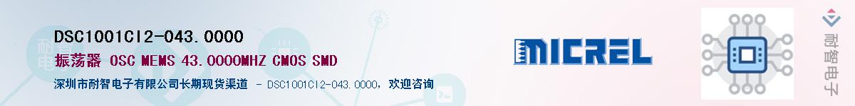 DSC1001CI2-043.0000������-�������