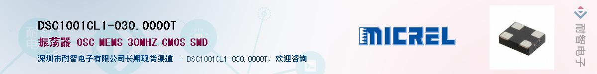 DSC1001CL1-030.0000T����(y��ng)��-�������