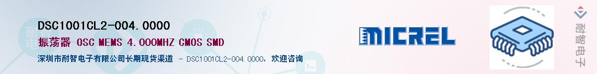 DSC1001CL2-004.0000������-�������