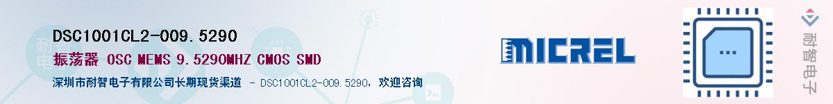 DSC1001CL2-009.5290����(y��ng)��-�������