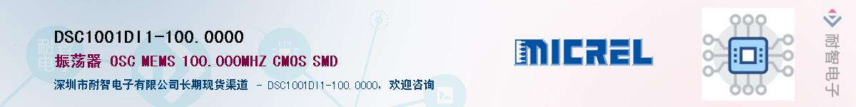 DSC1001DI1-100.0000����(y��ng)��-�������