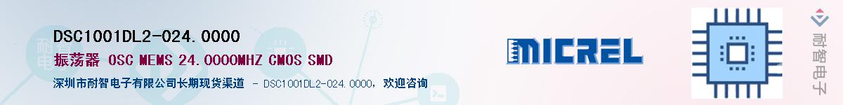 DSC1001DL2-024.0000������-�������