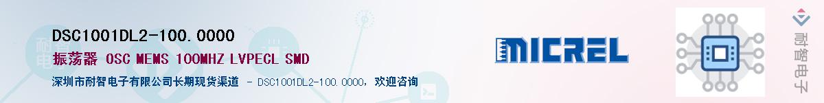 DSC1001DL2-100.0000������-�������