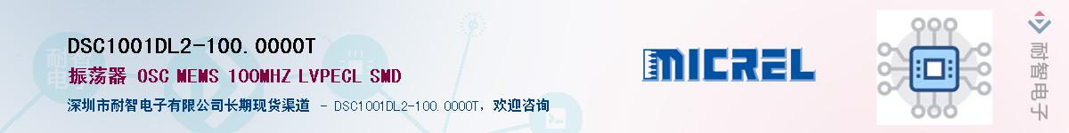 DSC1001DL2-100.0000T����(y��ng)��-�������