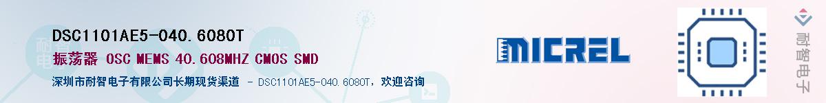 DSC1101AE5-040.6080T������-�������