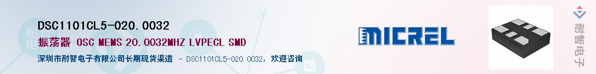 DSC1101CL5-020.0032������-�������