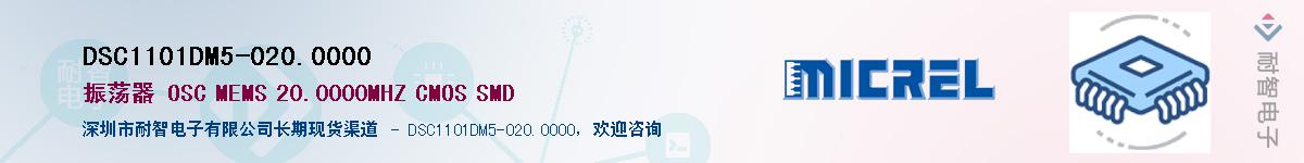 DSC1101DM5-020.0000������-�������