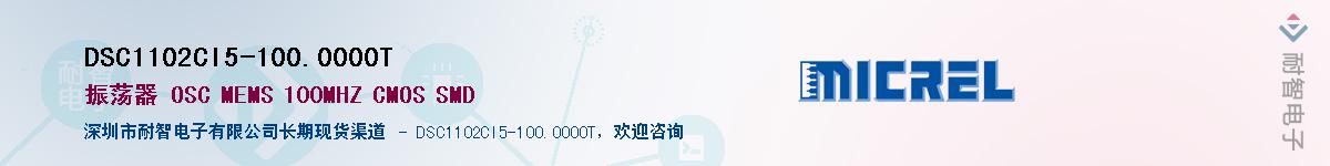 DSC1102CI5-100.0000T������-�������