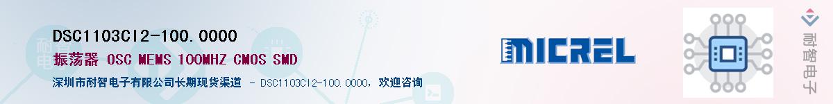 DSC1103CI2-100.0000����(y��ng)��-�������