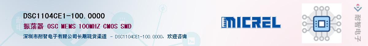 DSC1104CE1-100.0000������-�������