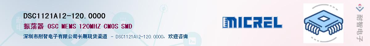 DSC1121AI2-120.0000������-�������