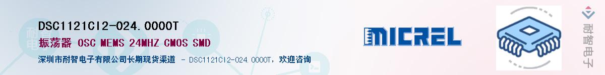 DSC1121CI2-024.0000T������-�������