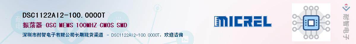 DSC1122AI2-100.0000T����(y��ng)��-�������