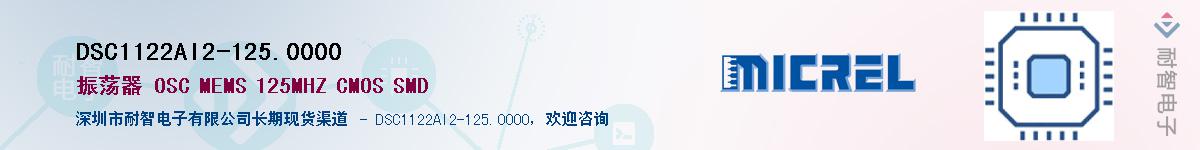 DSC1122AI2-125.0000������-�������