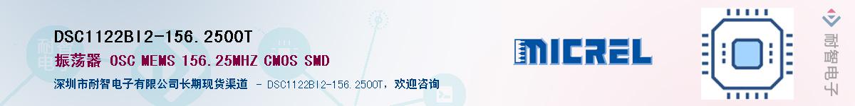 DSC1122BI2-156.2500T������-�������