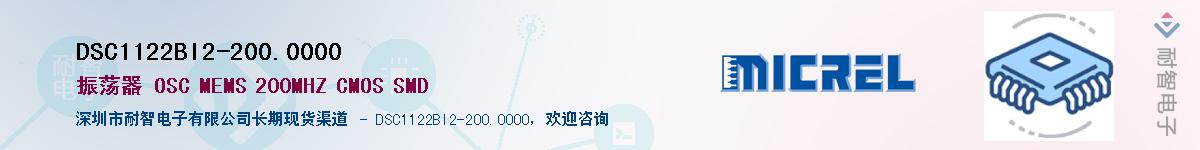 DSC1122BI2-200.0000������-�������