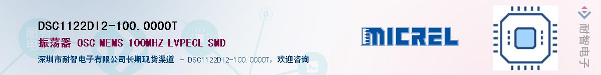 DSC1122DI2-100.0000T������-�������