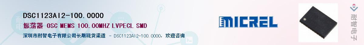 DSC1123AI2-100.0000������-�������