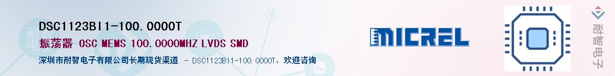 DSC1123BI1-100.0000T������-�������