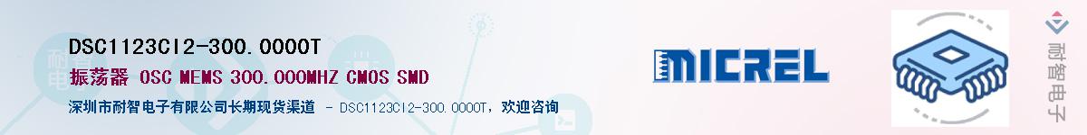 DSC1123CI2-300.0000T������-�������