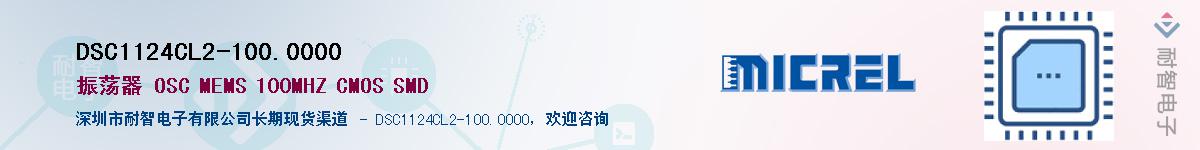 DSC1124CL2-100.0000������-�������