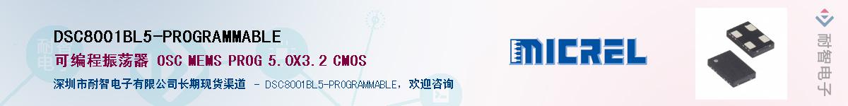 DSC8001BL5-PROGRAMMABLE������-�������