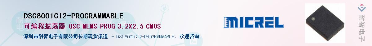 DSC8001CI2-PROGRAMMABLE������-�������