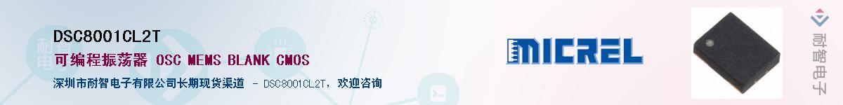 DSC8001CL2T������-�������