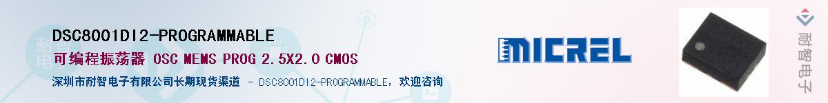 DSC8001DI2-PROGRAMMABLE������-�������