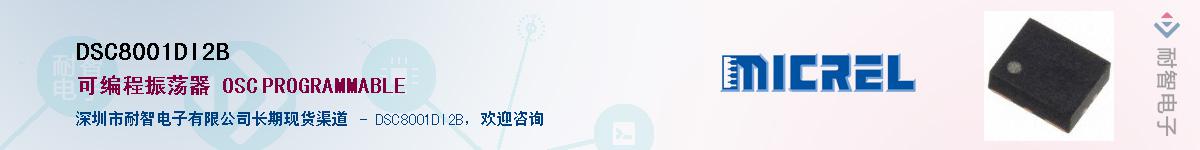 DSC8001DI2B������-�������