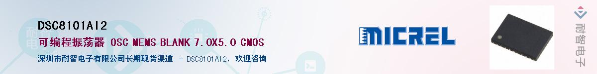 DSC8101AI2������-�������