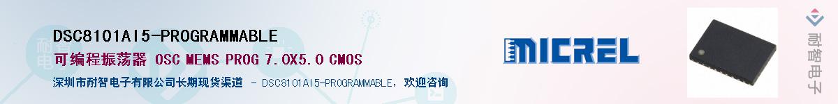 DSC8101AI5-PROGRAMMABLE����(y��ng)��-�������