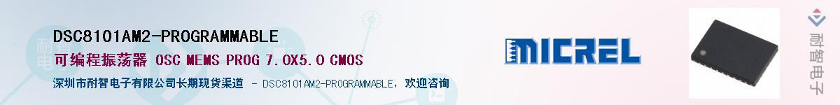 DSC8101AM2-PROGRAMMABLE������-�������