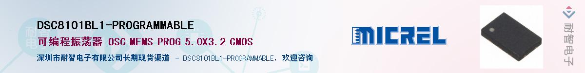 DSC8101BL1-PROGRAMMABLE������-�������