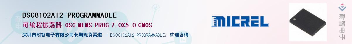 DSC8102AI2-PROGRAMMABLE������-�������