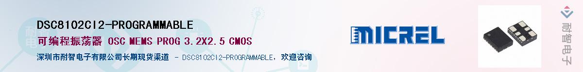 DSC8102CI2-PROGRAMMABLE������-�������